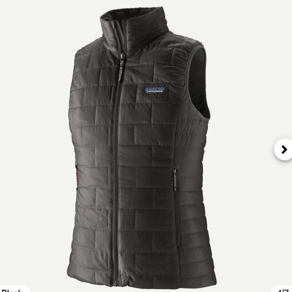 Patagonia Black Nano Puff Vest